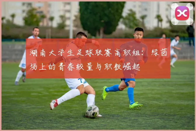 湖南大学生足球联赛高职组：绿茵场上的青春较量与职教崛起